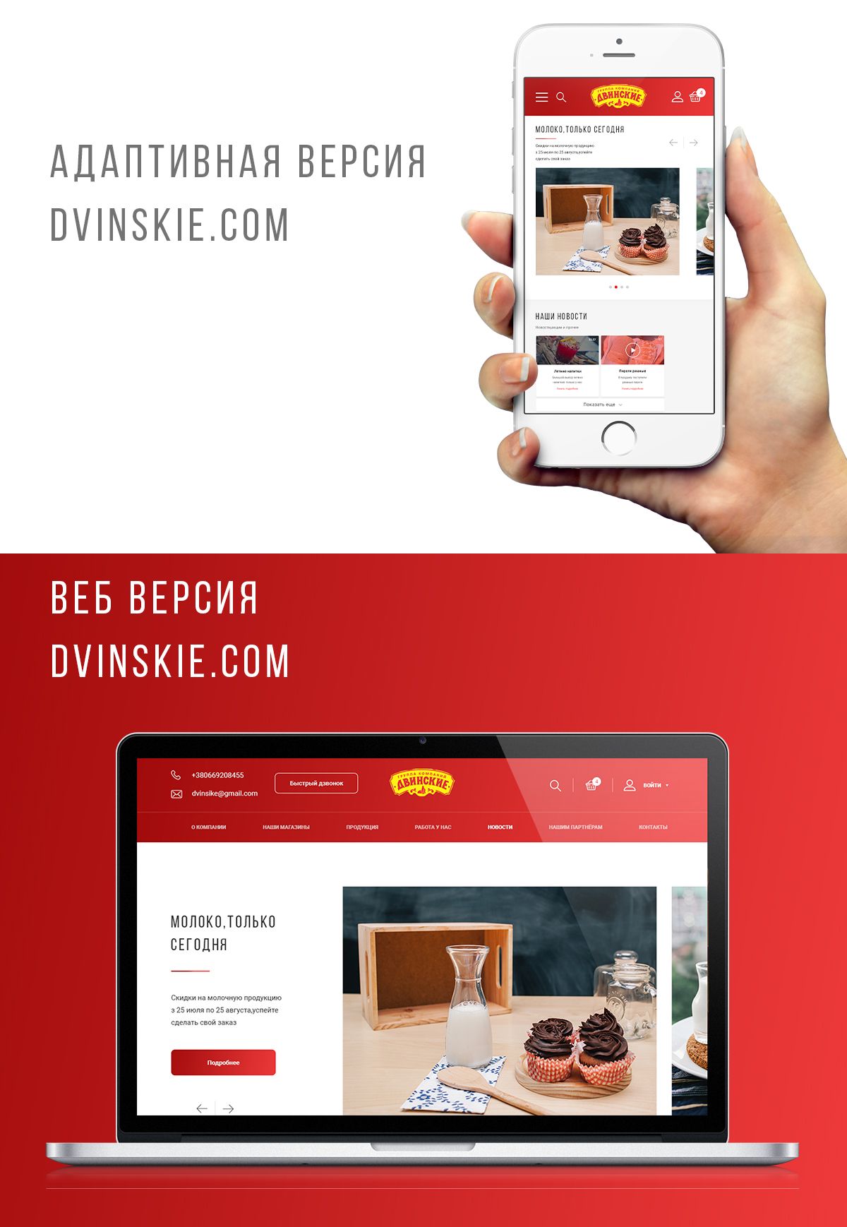 Веб-сайт для dvinskie.ru - дизайнер moderndesign