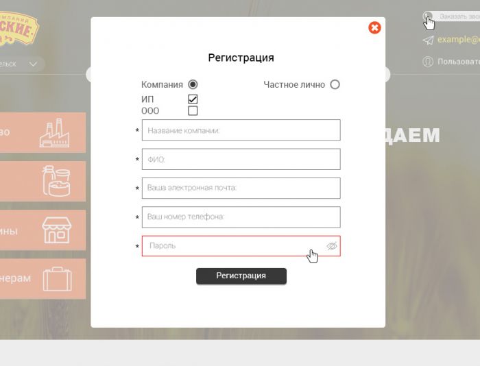Веб-сайт для dvinskie.ru - дизайнер Ati