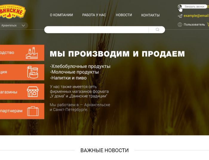 Веб-сайт для dvinskie.ru - дизайнер Ati