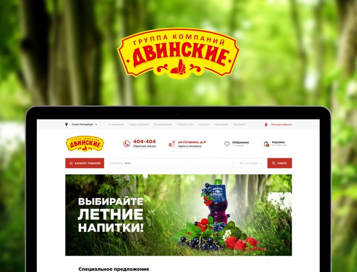 Веб-сайт для dvinskie.ru - дизайнер TobiX