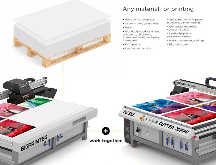 Веб-сайт для BIGPRINTER industrial UV printers - дизайнер romlinsdb