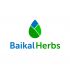 Логотип для Травы Байкала Baikal Herbs - дизайнер rawil