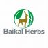 Логотип для Травы Байкала Baikal Herbs - дизайнер Olegik882