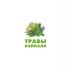 Логотип для Травы Байкала Baikal Herbs - дизайнер andblin61