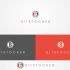 Логотип для Bitstocker - дизайнер Rusj