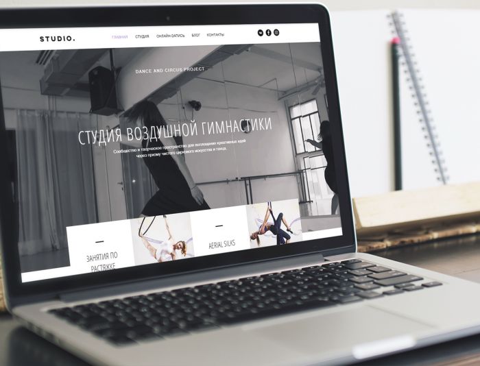 Веб-сайт для Сайт студии воздушной гимнастики - dancecircus.ru - дизайнер vikesdesign