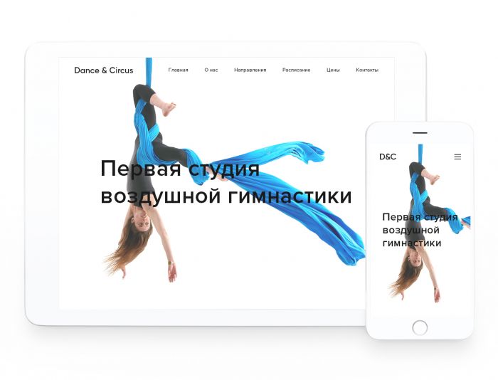 Веб-сайт для Сайт студии воздушной гимнастики - dancecircus.ru - дизайнер chucky
