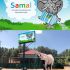 Вывеска для зоопарка (именно для слона) - дизайнер lora8ns8