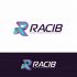 Лого и фирменный стиль для РАКИБ  - дизайнер LogoPAB