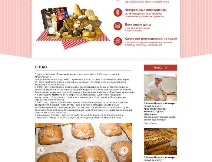 Веб-сайт для dvinskie.ru - дизайнер Stashek