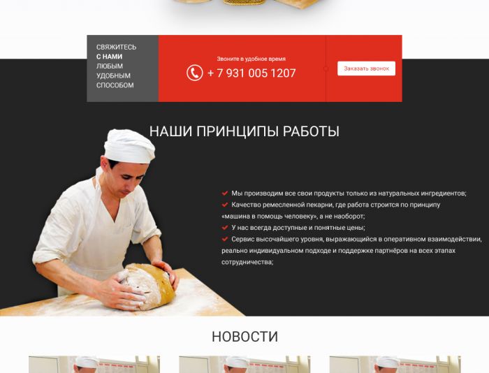 Веб-сайт для dvinskie.ru - дизайнер novostudios