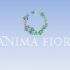 Лого и фирменный стиль для ANIMA FIORE - дизайнер poli070602