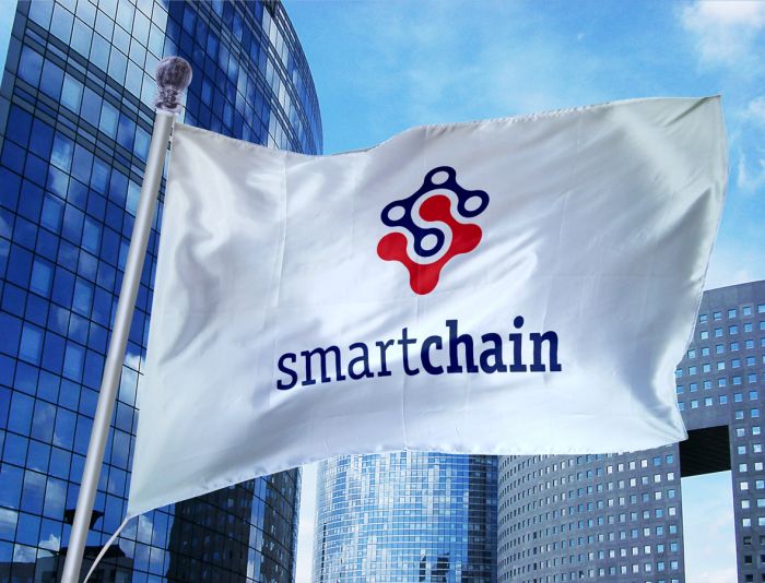 Логотип для SmartChain - дизайнер zanru