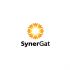 Логотип для Логотип для бизнес-школы и сообщества SynerGat - дизайнер shamaevserg