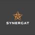 Логотип для Логотип для бизнес-школы и сообщества SynerGat - дизайнер erkin84m