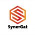 Логотип для Логотип для бизнес-школы и сообщества SynerGat - дизайнер zetlenka