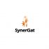 Логотип для Логотип для бизнес-школы и сообщества SynerGat - дизайнер kirilln84