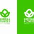 Логотип для Domenika Flowers - дизайнер GAMAIUN