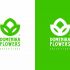 Логотип для Domenika Flowers - дизайнер GAMAIUN
