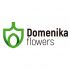 Логотип для Domenika Flowers - дизайнер Vlad_ZabiakO