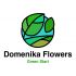 Логотип для Domenika Flowers - дизайнер chernysheva