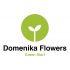 Логотип для Domenika Flowers - дизайнер chernysheva