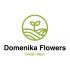 Логотип для Domenika Flowers - дизайнер chernysheva