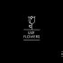 Логотип для Lily Flowers - дизайнер kokker