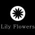 Логотип для Lily Flowers - дизайнер komforka020213