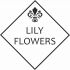 Логотип для Lily Flowers - дизайнер Khava