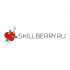 Логотип для SkillBerry.ru - дизайнер jampa