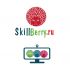 Логотип для SkillBerry.ru - дизайнер Garryko