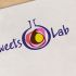 Лого и фирменный стиль для Sweets Lab - дизайнер qsj