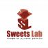 Лого и фирменный стиль для Sweets Lab - дизайнер pilotdsn