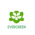 Лого и фирменный стиль для Evergreen - дизайнер tixomirovavv