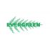 Лого и фирменный стиль для Evergreen - дизайнер Hardworker