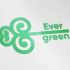 Лого и фирменный стиль для Evergreen - дизайнер VarVar