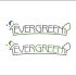 Лого и фирменный стиль для Evergreen - дизайнер ricciodesigner