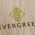 Лого и фирменный стиль для Evergreen - дизайнер funkielevis