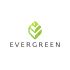 Лого и фирменный стиль для Evergreen - дизайнер funkielevis