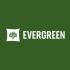 Лого и фирменный стиль для Evergreen - дизайнер infonemirov