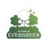 Лого и фирменный стиль для Evergreen - дизайнер NataliyZheltoy