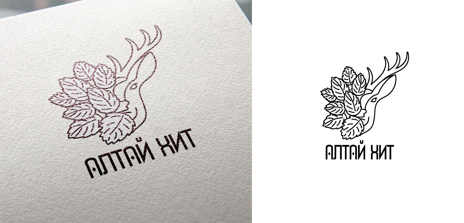 Логотип для АлтайХит - натуральная целебная продукция Алтая. - дизайнер Lar4e