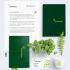 Лого и фирменный стиль для Evergreen - дизайнер lamiica