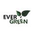 Лого и фирменный стиль для Evergreen - дизайнер NataliyZheltoy