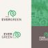 Лого и фирменный стиль для Evergreen - дизайнер papillon