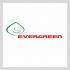 Лого и фирменный стиль для Evergreen - дизайнер ilim1973