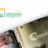 Лого и фирменный стиль для Evergreen - дизайнер Lara2009