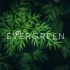 Лого и фирменный стиль для Evergreen - дизайнер infonemirov