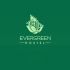 Лого и фирменный стиль для Evergreen - дизайнер art-valeri